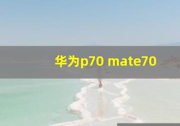 华为p70 mate70